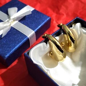 Half Teardrop Earrings